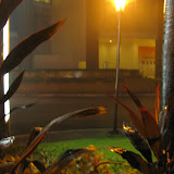 Eastwood City by night(1)