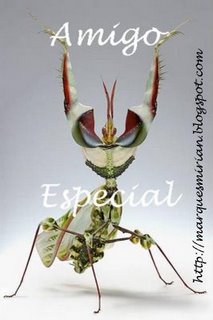 AMIGO ESPECIAL 