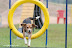 Linda na III Copa CBA - 1&Acirc;&ordf; e 2&Acirc;&ordf; etapas - It&Atilde;&ordm;/SP 02 e 03/08/2008