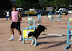1&Acirc;&ordf; Etapa - Bruno e Laika