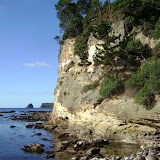 Coromandel With Parents