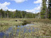 High elevation swamp