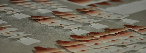 [lightforms-process[4].jpg]