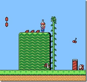 super-mario-bros-2-nes-potion