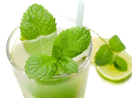 [mojito-cocktail[4].jpg]