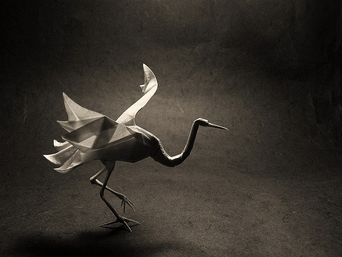[origami002[5].jpg]