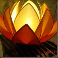lamp%20bloom%20tangerine