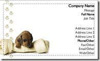 card 3 card 3