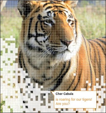 cher cabula tiger help