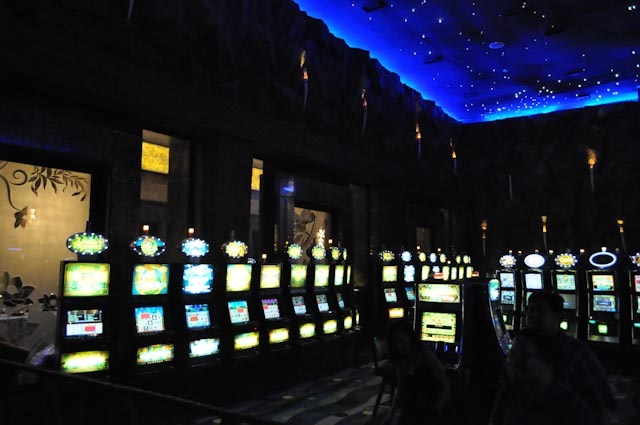 [DSC_0894[2].jpg]