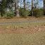 NellJean's Frontyard garden