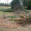 NellJean's Rock garden