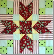 StarSurprise Quilt 11 BlackfordsBeauty_edited-1