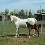 Toka 002.jpg