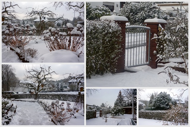 [Collage - Schnee am 25.1.2010[7].jpg]