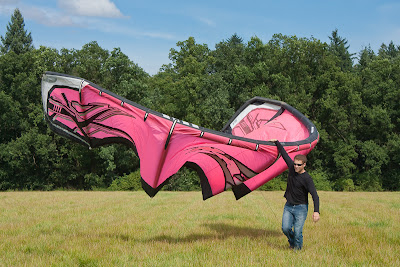 pink kite