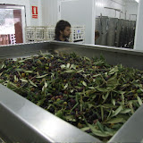 Arbequines a la premsa DSCF3567.jpg