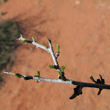 IMG_2494.JPG