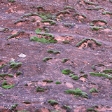 IMG_2508.JPG