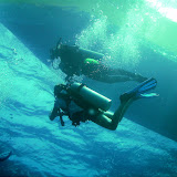 Scuba Divers
