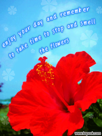 Glitter Graphic for Hi5 MySpace Orkut & Friendster click Here!!