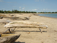 MadagascarNov2k9 (47).JPG