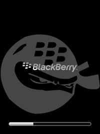 BlackBerry Storm : Specs | Price | Reviews | Test