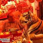 DSC01038.JPG