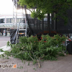 DSC09965.JPG