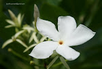 DSC01279-1.JPG