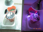7 days tomatoes & peppers - all tomatoes up, none of the peppers yet.