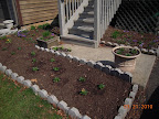 Turned the front bed and planted out all my baby pansies yesterday. Crocuses and a few overwintered pansies blooming.