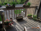 misc brassicas in saddle planters, herb pot, flowers