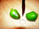 "yellow" to left, "red" to right, both mini stuffing peppers
