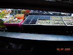 Seedling light shelf filling up.