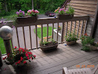 mid-deck flowers and herbs
