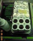 Started eggplant, snapdragons, and coleus seeds yesterday for replacements. Dunno why handwriting so bad yesterday. ;)