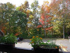 autumn view from dining room deck
