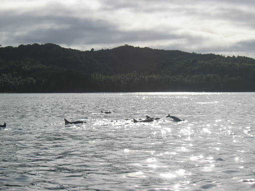 Crusoes Retreat Fiji