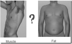 Muscle%20Turn%20To%20Fat