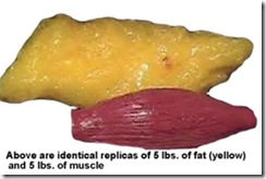 5lb-fat-muscle