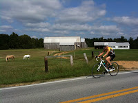 IMG_0563.JPG Photo