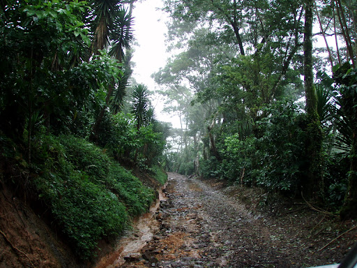 P9279996.JPG