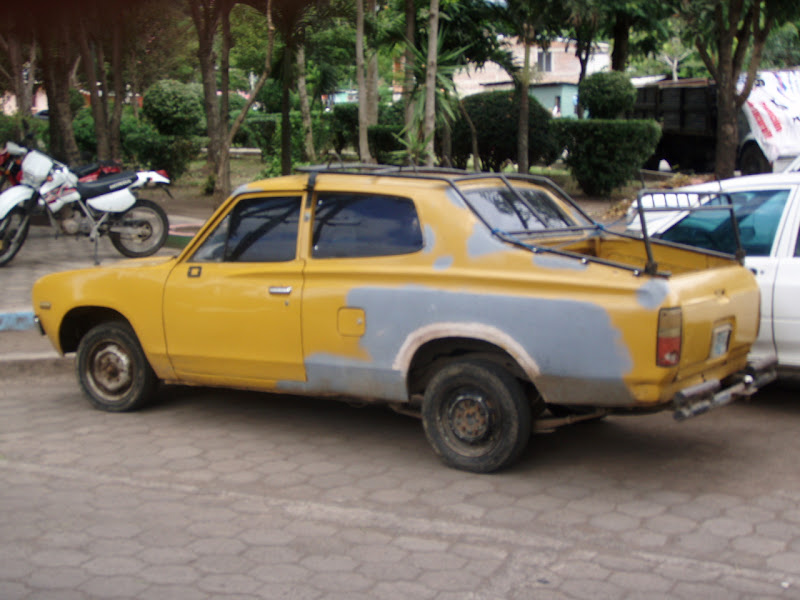 PB230637.JPG