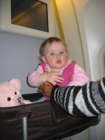 Now that's what I call comfortable travel--with your teddy