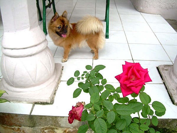 [DSCN32557.jpg]