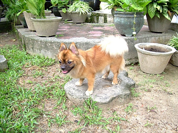 [DSCN32535.jpg]