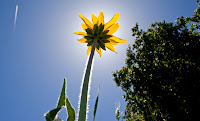 Alumrockpark 022.JPG Photo