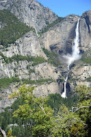 DSC_0488.JPG Photo