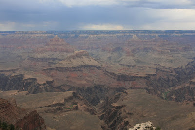 IMG_3263.JPG